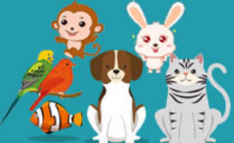 你更喜欢哪种动物？